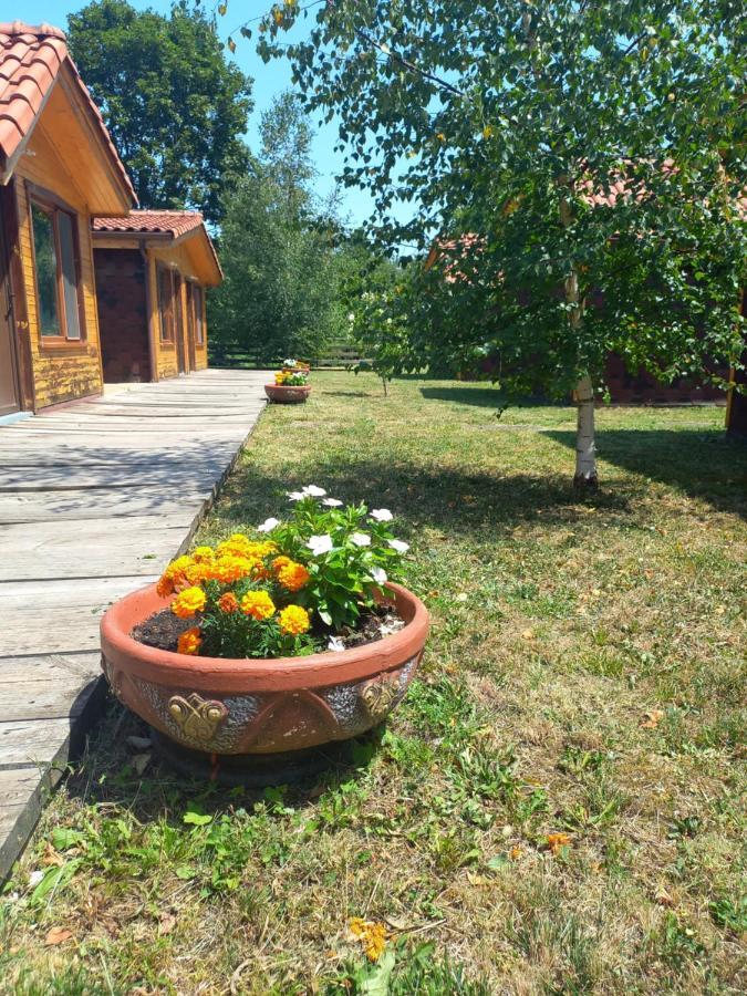 Вилно селище МИРОВЕЦ Maluk Izvor  Экстерьер фото